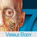 visible body icon